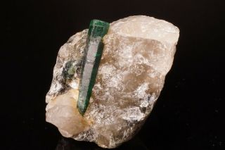 CLASSIC Emerald Beryl Crystal on Quartz CARNAIBA,  BRAZIL 8