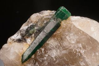 CLASSIC Emerald Beryl Crystal on Quartz CARNAIBA,  BRAZIL 9
