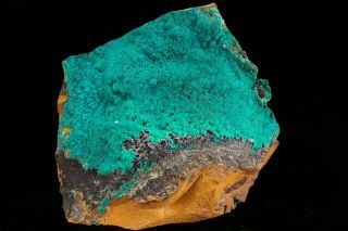 Unqiue Dioptase Crystal Cluster Blue Bell Mine,  California
