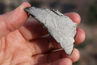 Muonionalusta Meteorite Etched End Cut 60.  5 Grams