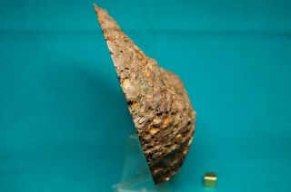 BRAHIN Pallasite meteorite 1,  664 grams 2