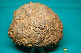 BRAHIN Pallasite meteorite 1,  664 grams 3