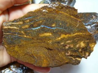 Natural Boulder Opal Rough Parcel From Winton 2.  68 KG Total Lapidary Hobby 5