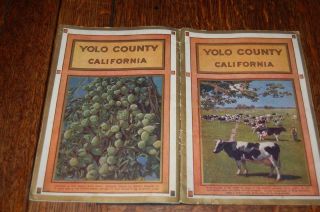 1915 Yolo County California Panama Pacific Exposition Souvenir Farming Brochure
