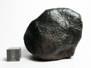 Nwa X Meteorite 178.  78g Beautifully Regmaglypted Space Rock
