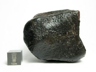 NWA x Meteorite 178.  78g Beautifully Regmaglypted Space Rock 2