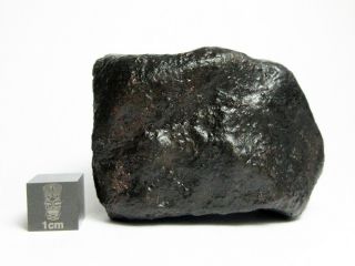 NWA x Meteorite 178.  78g Beautifully Regmaglypted Space Rock 3