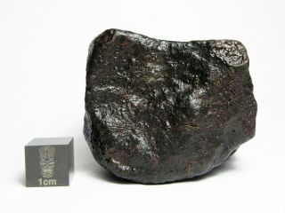 NWA x Meteorite 178.  78g Beautifully Regmaglypted Space Rock 4
