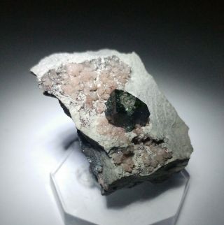 Rare - Dark Green Libethenite & Pink Cobaltoan Calcite Crystals,  Mine Zambia