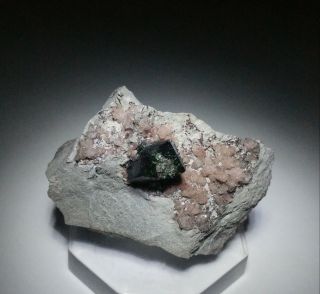 RARE - Dark Green Libethenite & Pink Cobaltoan Calcite crystals,  mine Zambia 4