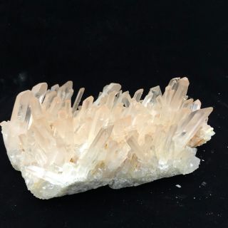 4.  96lb Rare Natural Clear Quartz Crystal Cluster Specimen W455