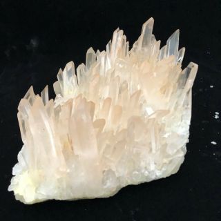 4.  96LB Rare Natural Clear Quartz Crystal Cluster Specimen W455 3