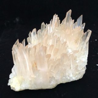 4.  96LB Rare Natural Clear Quartz Crystal Cluster Specimen W455 4