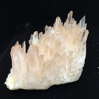 4.  96LB Rare Natural Clear Quartz Crystal Cluster Specimen W455 6