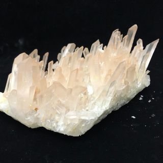 4.  96LB Rare Natural Clear Quartz Crystal Cluster Specimen W455 7