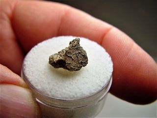 Museum Quality Marvelous Crusted Nwa 6963 Martian Shergottite Meteorite.  92 Gm