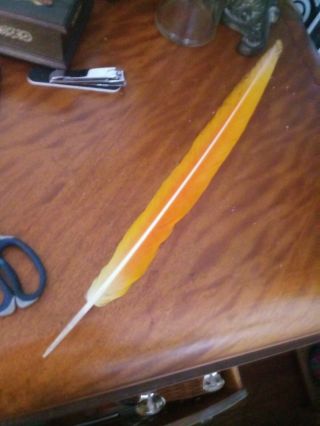 Golden\yellow\orange Macaw Bird Tail Feather 19in Long