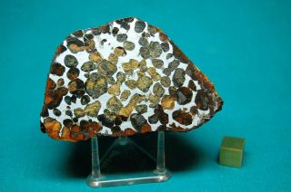Sericho Meteorite Pallasite 338 Grams