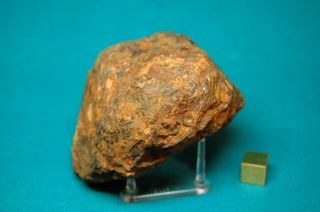Sericho meteorite Pallasite 338 grams 2