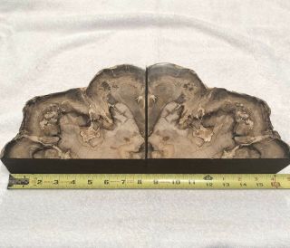 Large Petrified Wood Book Ends