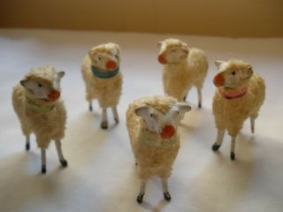 Antique German Christmas Woolly Sheep Putz Figures " Five "