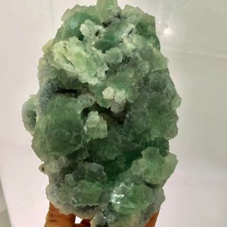 2.  92lgnatural Green Cubic Fluorite Quartz Crystal Mineral Specimen Healling 586