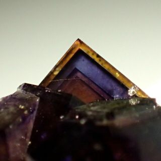 Fluorite Dark Purple Zoned Crystals Frohnau,  Germany