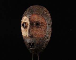 African Mask Lega Lukwakongo Mask Tribal Art African Curving Congo Zaire Drc