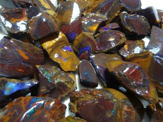 Natural Boulder Opal Rough Parcel From Koroit 4650 Carat Total Lapidary Hobby