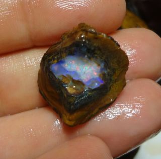 Natural Boulder Opal Rough Parcel From Koroit 4650 Carat Total Lapidary Hobby 4