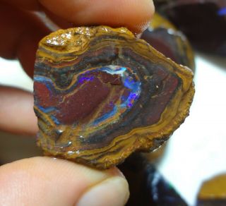 Natural Boulder Opal Rough Parcel From Koroit 4650 Carat Total Lapidary Hobby 5
