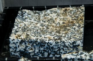 10.  1 lbs Medicine Bow Dendrite Agate Rough - Wyoming. 4