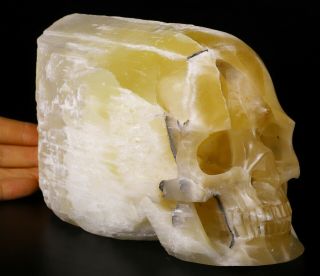 Huge 7.  2 " Selenite Carved Crystal Skull Wand/point,  Crystal Healing