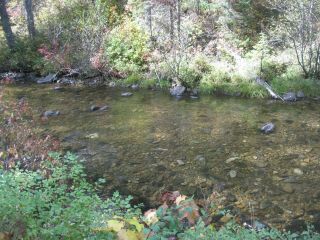 Secluded Crooked River Placer Gold Mining Claim Near Elk City Idaho