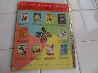 Wonders Of Nature,  A Little Golden Book,  1957 (A ED;VINTAGE Eloise Wilkin) 2