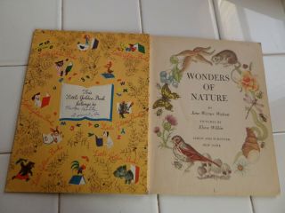 Wonders Of Nature,  A Little Golden Book,  1957 (A ED;VINTAGE Eloise Wilkin) 3