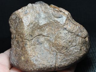 Meteorite - B8 - 2385 - 556.  0g - Meteorite Specimen - - Natural