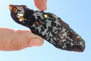 Admire Meteorite Pallasite Full Slice 18.  3 Grams
