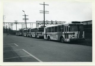 5g601 Rp 1978 Twin Coach Bus Dead Storage City Of Poughkeepsie Ny 257 256 253