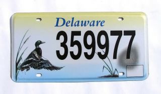 Delaware Environmental Duck License Plate Wildlife 359977