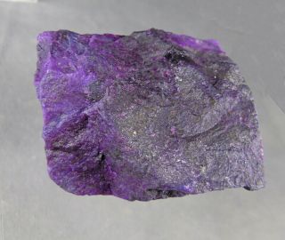 dkd 89F/ 146.  6grams Purple Sugilite Rough 8