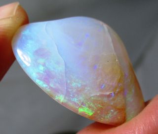 Opalized Clam Fossil - Polished - 36 Ct - Coober Pedy Australia Precious Opal