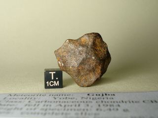 meteorite iron BOXHOLE,  Australia,  complete specimen 42,  7 g 2
