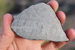 Muonionalusta Meteorite Etched Full Slice 73.  6 Grams