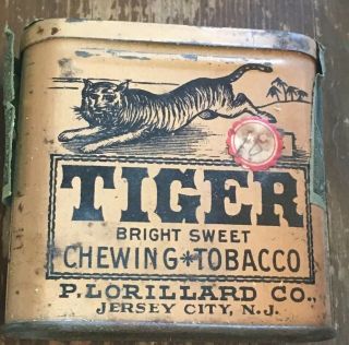 Vintage Advertising Tiger Bright Sweet Chewing Tobacco Pocket Tin