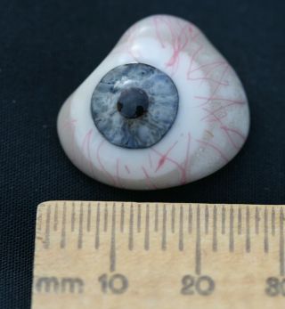 Premium Vintage Human Prosthetic Eye,  Rare Antique Glass Artificial Eye 71