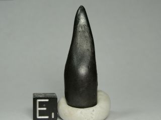 Meteorite - Sikhote - Alin - Iron - IIAB - SA - 1593 - 18.  63g - COA/Observed Fall 1947 2