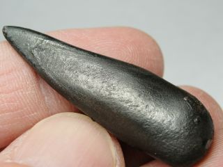 Meteorite - Sikhote - Alin - Iron - IIAB - SA - 1593 - 18.  63g - COA/Observed Fall 1947 3