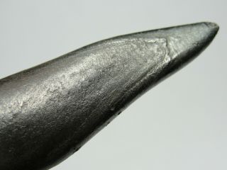 Meteorite - Sikhote - Alin - Iron - IIAB - SA - 1593 - 18.  63g - COA/Observed Fall 1947 8