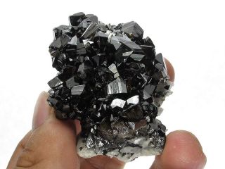 Cassiterite Crystal Cluster with Quartz,  Viloco Mine,  Bolivia 3